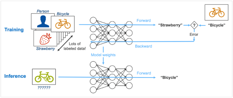 inference vs training